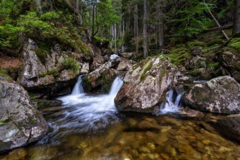 deutschland-bayerischer-wald-hochfall-bodenmais-zwischenstufe-02