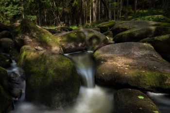 deutschland-waldnaabtal-des-teufels-butterfass-oberpfaelzerwald-steine-03