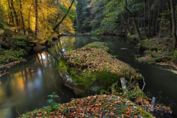 deutschland-waldnaabtal-flusswaldnaab-riesenstein-06