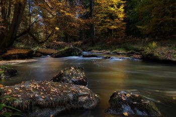 deutschland-waldnaabtal-naturschutzgebiet-fluss-herbst-05