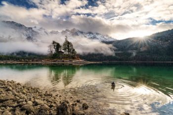 eibsee-insel-ente-wettersteingebirge-zugspitze-greinau-garmisch